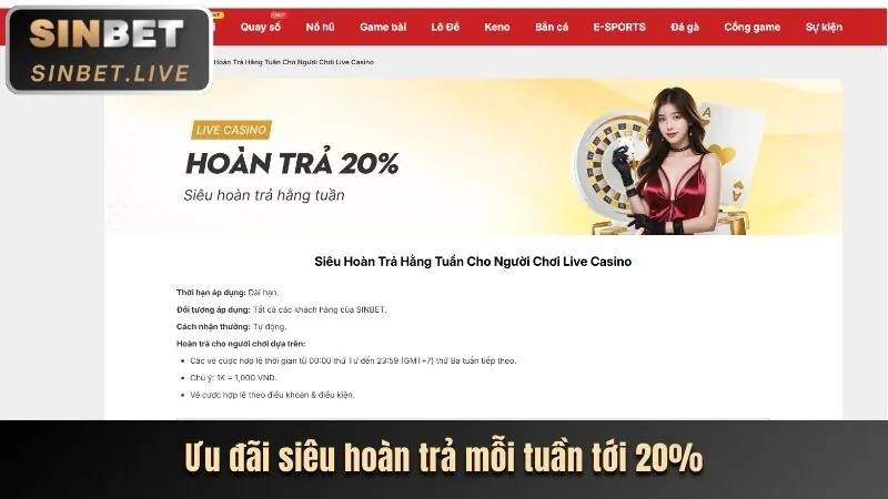 Hoàn trả và thưởng VIP